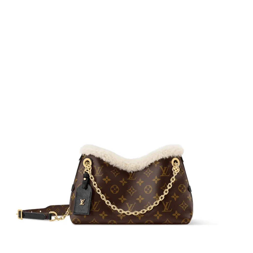 Louis Vuitton Carry All BB Main image