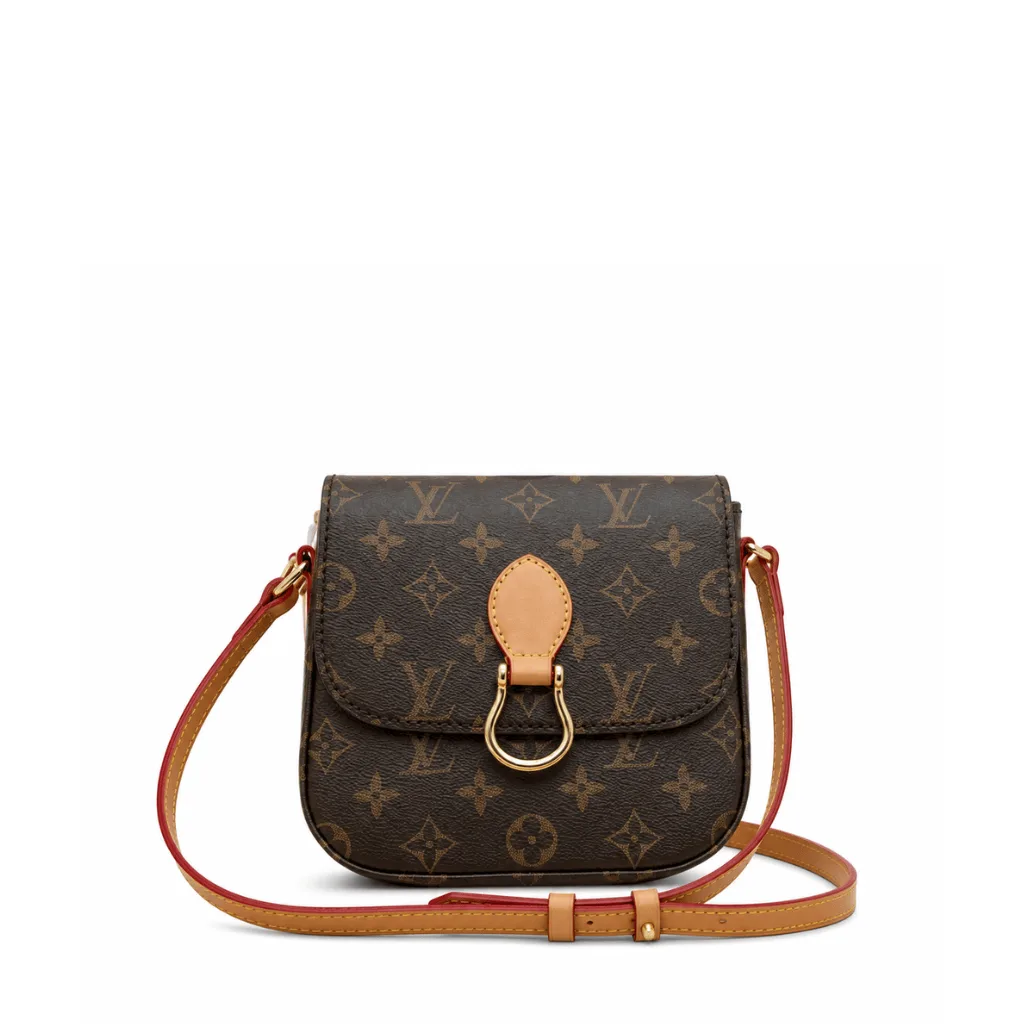 Louis Vuitton Monogram Canvas Saint Cloud Bag 18Cm Main image