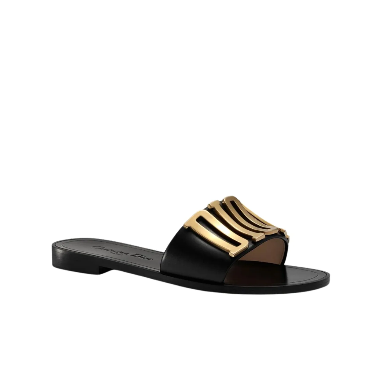 Dior Black Leather Diorevolution Flat Main image