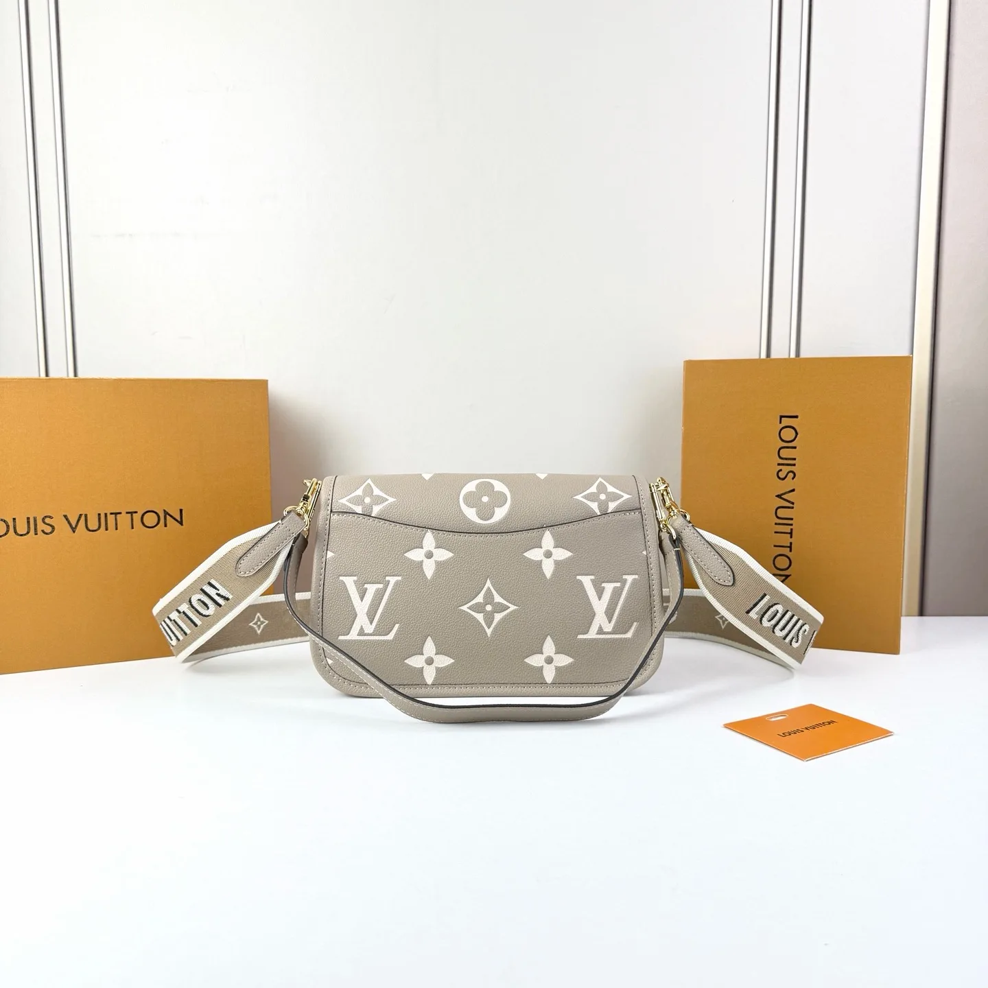 Louis Vuitton Diane Monogram Gray 24Cm