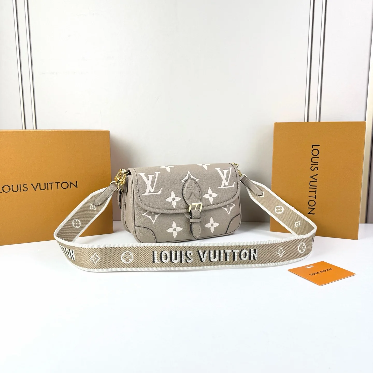 Louis Vuitton Diane Monogram Gray 24Cm