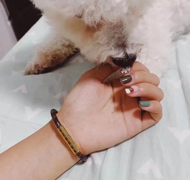 Louis Vuitton Confidential Bracelet Monogram Brown