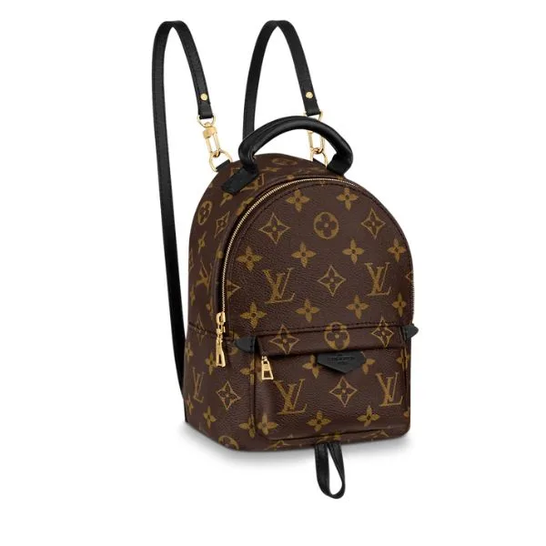 Louis Vuitton Palm Springs Mini Backpack 22Cm M44873 Main image