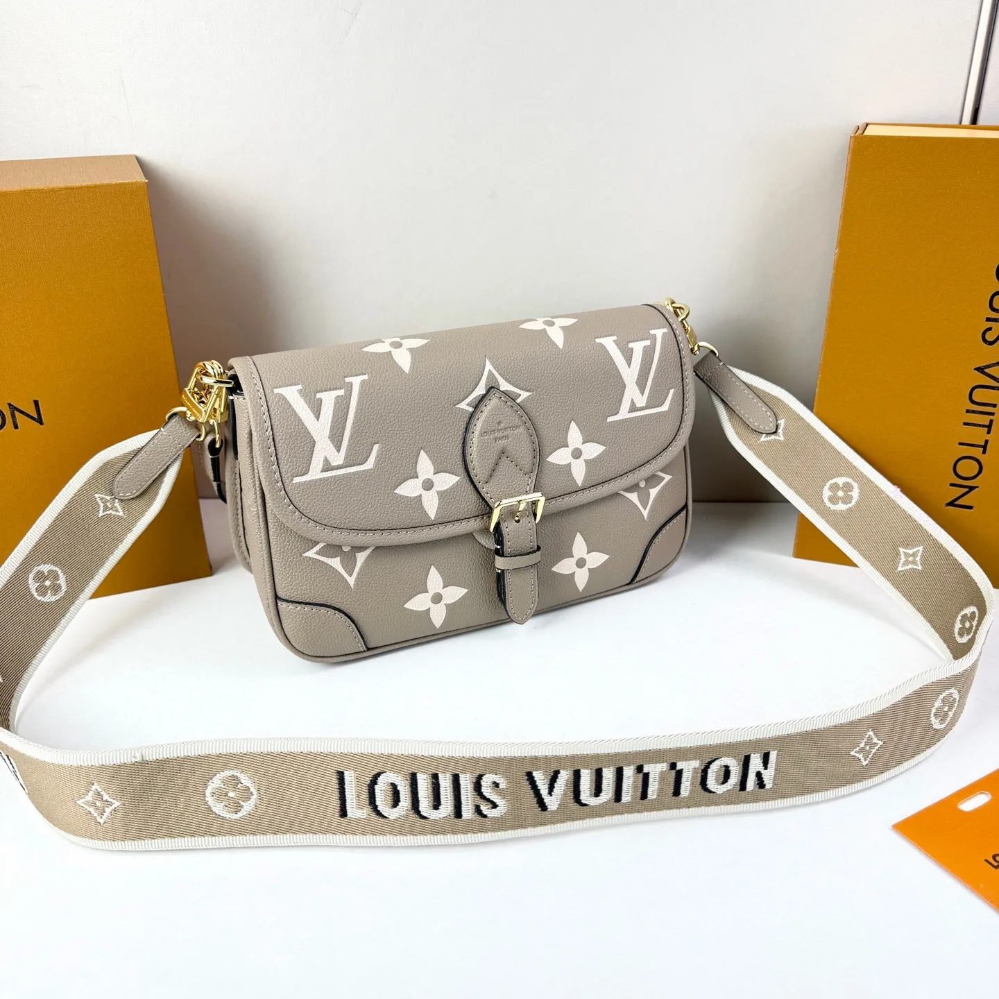 Louis Vuitton Diane Monogram Gray 24Cm