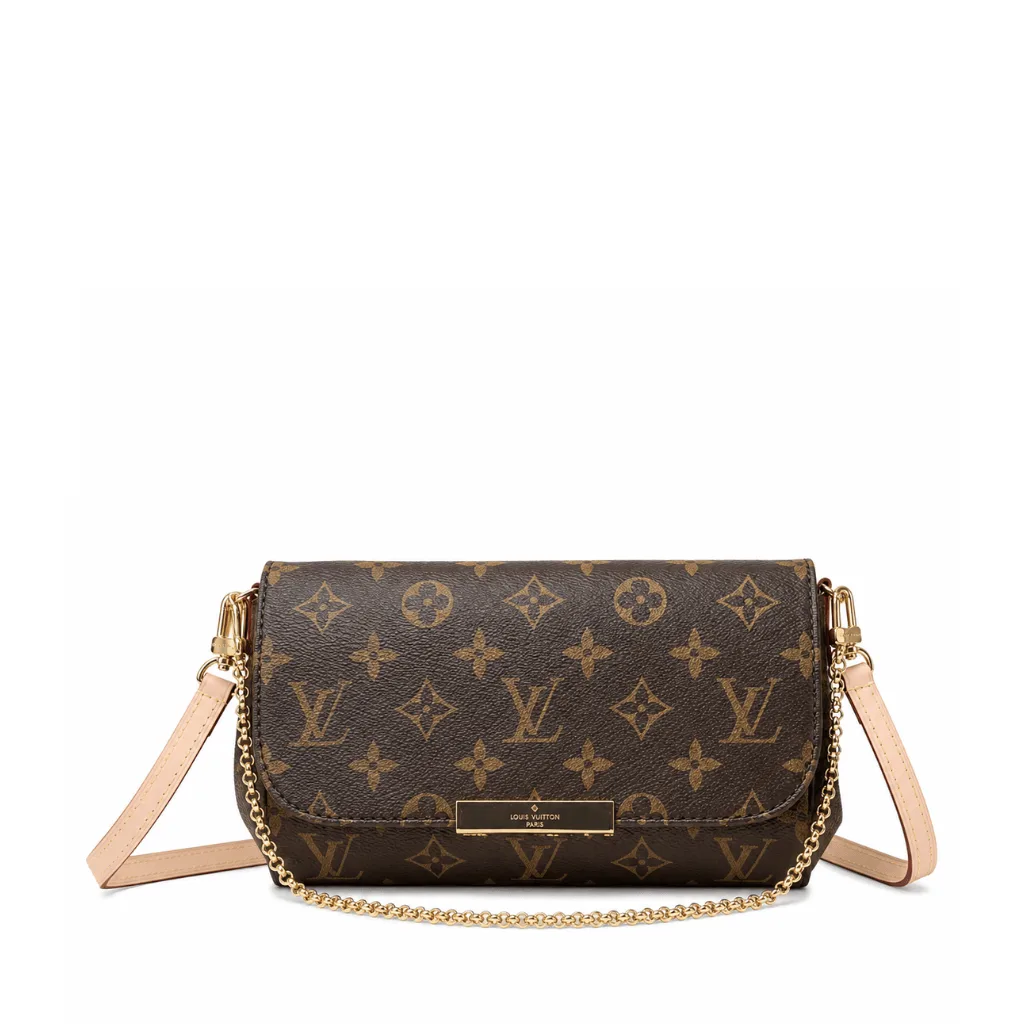 Louis Vuitton Favorite Mm Chain Shoulder Bag 24Cm Main image