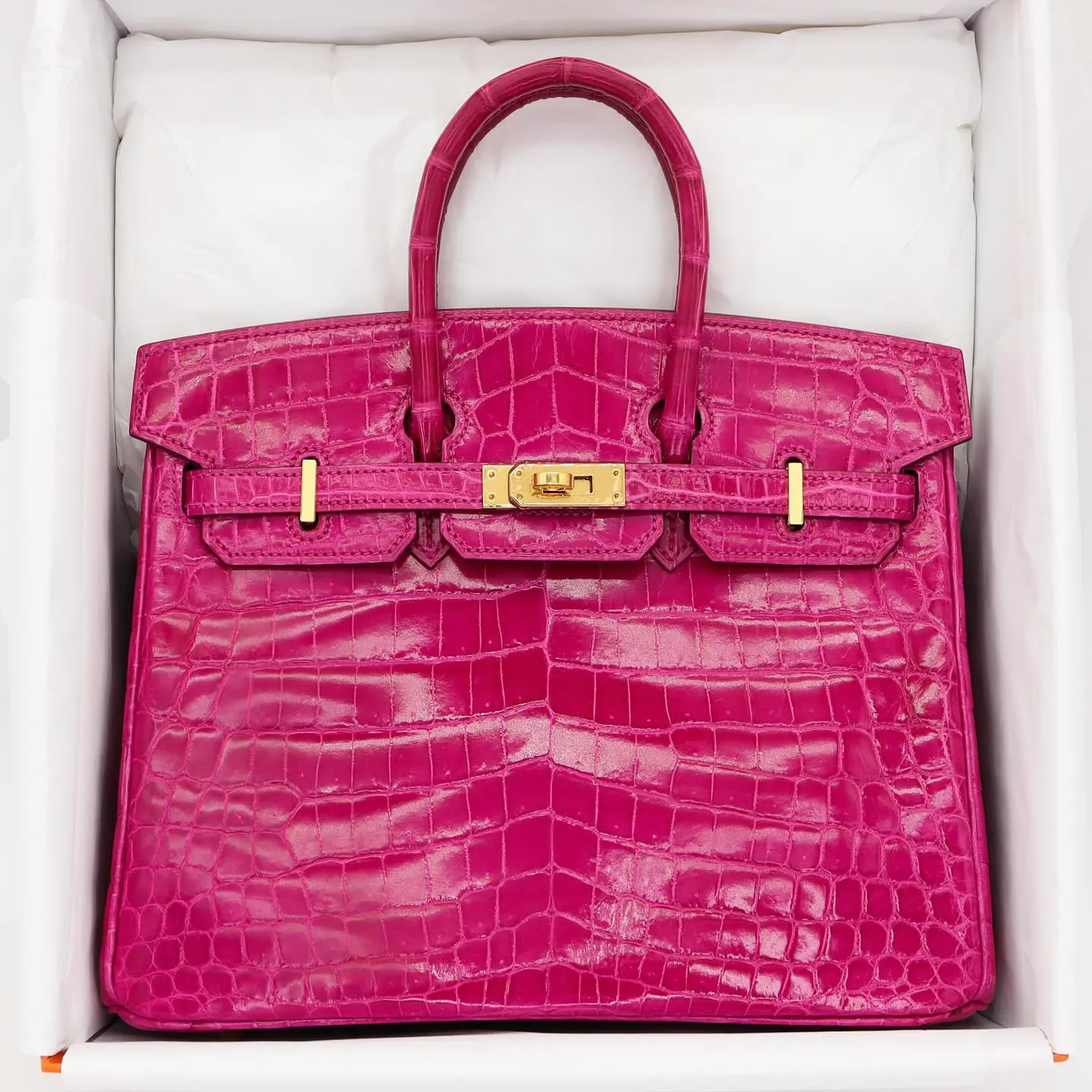 H Birkin 35 Himalaya Crocodile Gold Hardware